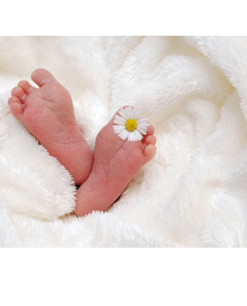 pies de bebe comprimida